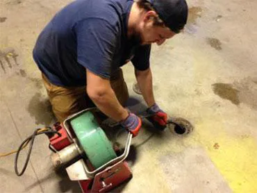 Able Power Rooter Picture 3
