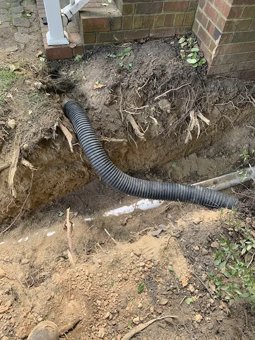 The Very Good Plumbing Co. Picture 5