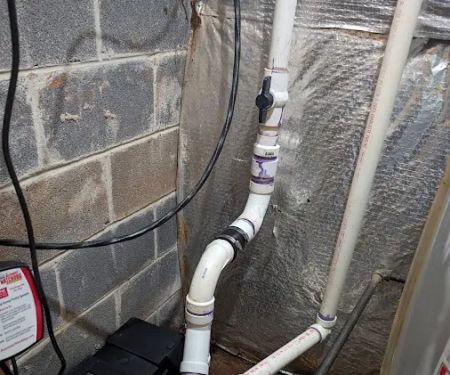 The Professor Plumbers