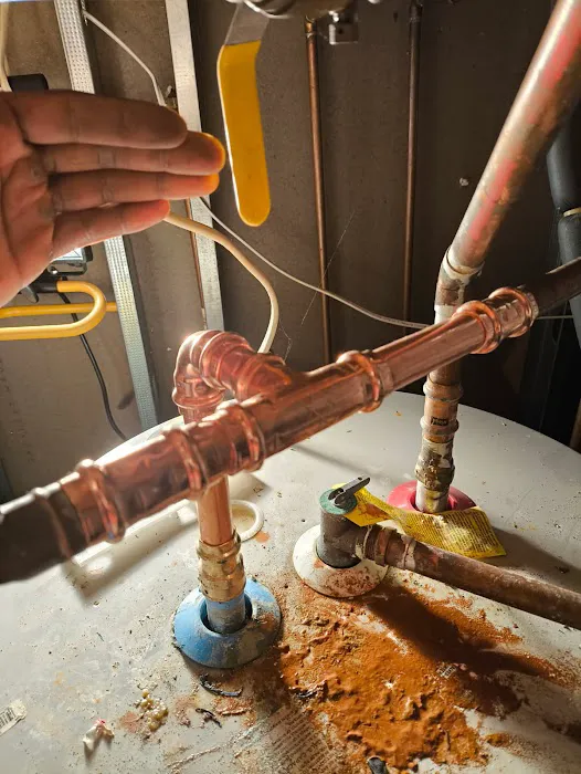 The Professor Plumbers Picture 3