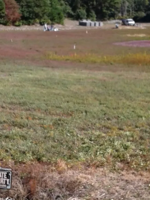 John G Latham Inc Picture 2