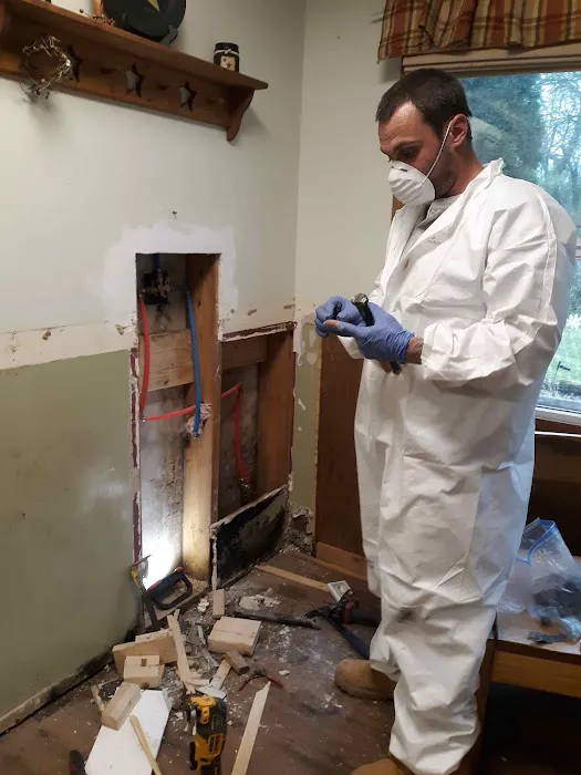 Plumbing hvac landscaping painting power washing backhoe Picture 1