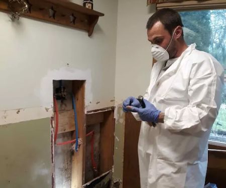 Plumbing hvac landscaping painting power washing backhoe