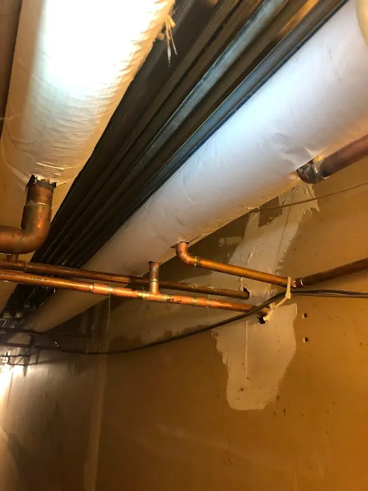 Professional Drain Service Picture 1