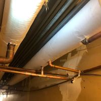 Professional Drain Service ico