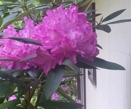 Drew's Pump & Plumbing