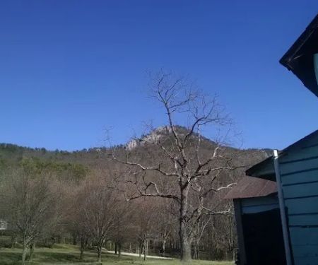 W L Marion Plumbing & Services