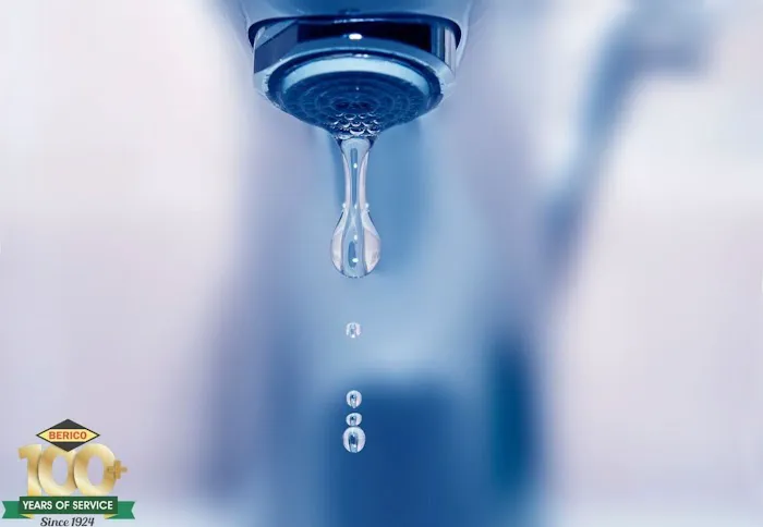 Berico Plumbing Services Picture 2