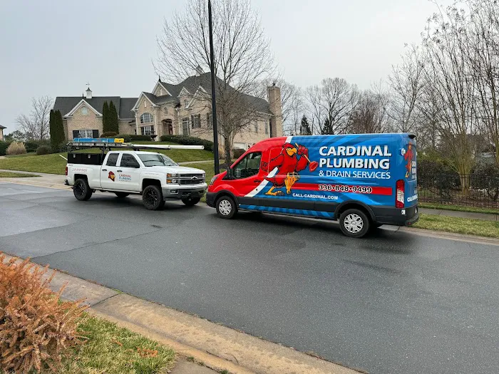 Cardinal Plumbing & Drain Services Picture 2