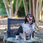 The Plumbing & Air Service Co.