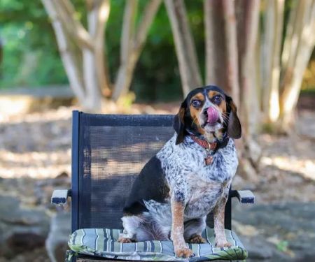 The Plumbing & Air Service Co.