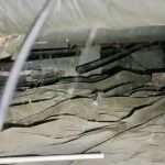 Brandon Plumbing Co