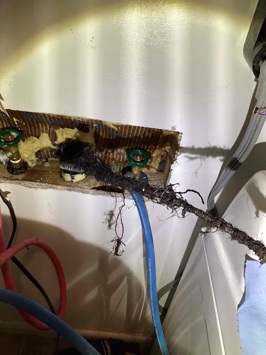 Zoom Drain Picture 5