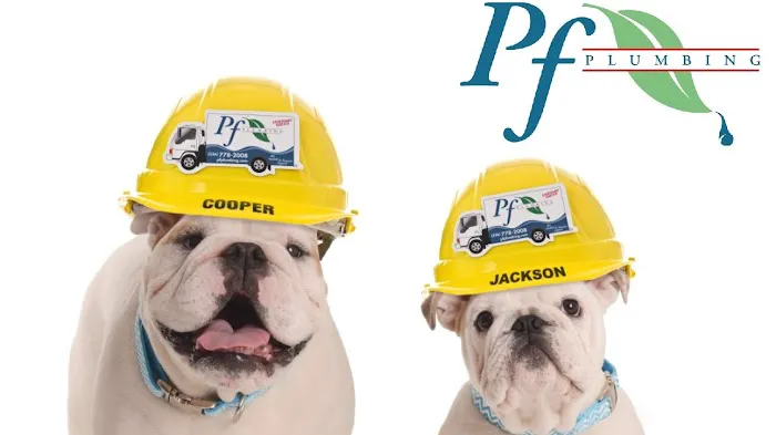 PF Plumbing Picture 6