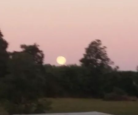 Anderson Plumbing Co