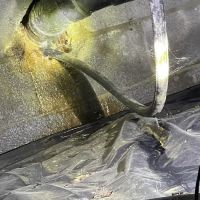 Carolina Plumbing & Water Systems, LLC ico