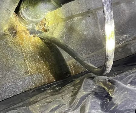 Carolina Plumbing & Water Systems, LLC