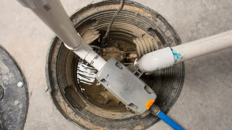 Signs You Need Sewer Line Backups Resolved Immediately