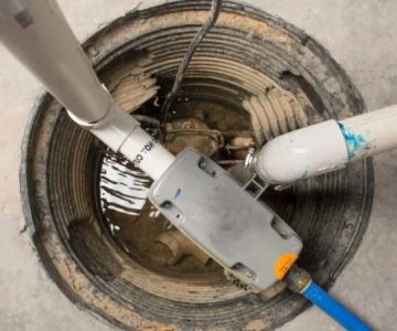 Signs You Need Sewer Line Backups Resolved Immediately