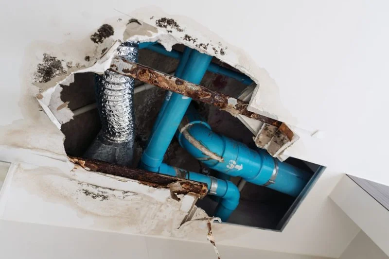 What Causes Water Damage in Your Bathroom? Discover the Real Issues
