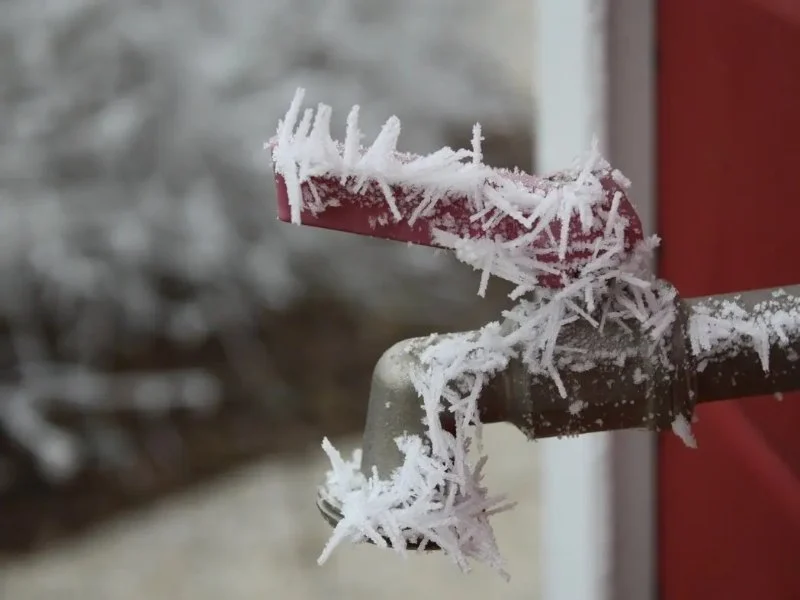 How to Prevent and Fix Frozen Pipes: Top Tips Every Homeowner Should Know