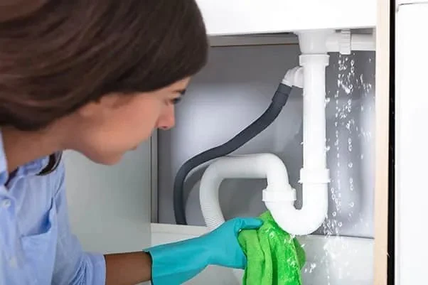 Diagnosing Plumbing Noises: What They Mean and When to Call a Plumber