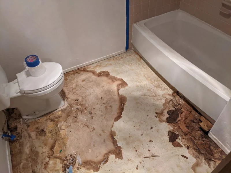 Beginner's Guide to Water Damage in Your Bathroom