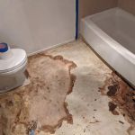 Beginner's Guide to Water Damage in Your Bathroom