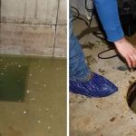 How to Prevent Your Sump Pump from Failing | PlumberNear
