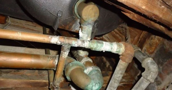 How to Prevent Mold Growth in Your Plumbing System