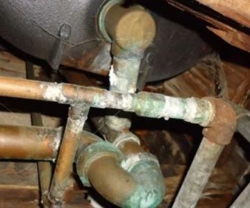 How to Prevent Mold Growth in Your Plumbing System