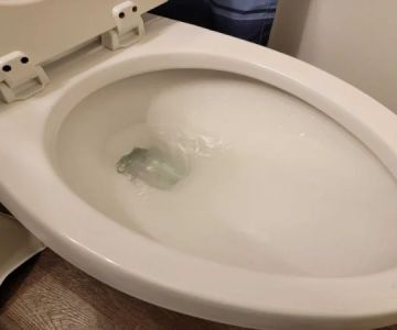 How to Stop a Gurgling Toilet: Common Causes and Fixes