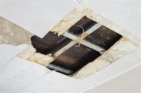 How to Fix a Leaking Drain Pipe in Basement Ceiling - A Complete Guide