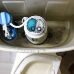 What Causes Mold Around Toilet Base and How to Prevent It