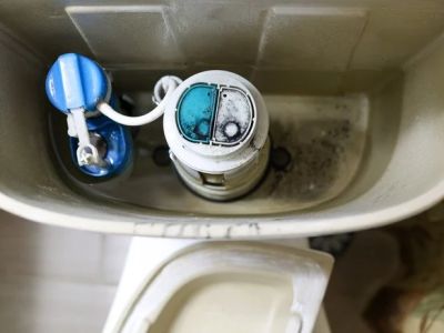 What Causes Mold Around Toilet Base and How to Prevent It
