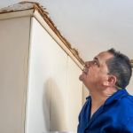Effective Steps to Repair a Leaking Pipe Behind Your Cabinet