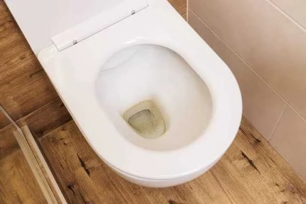 What Causes Toilet Bowl to Crack? Causes and Prevention Tips