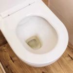 What Causes Toilet Bowl to Crack? Causes and Prevention Tips