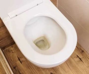 What Causes Toilet Bowl to Crack? Causes and Prevention Tips